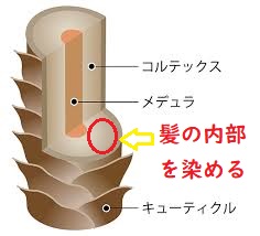 画像に alt 属性が指定されていません。ファイル名: images-88.jpg