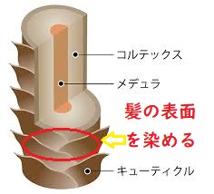 画像に alt 属性が指定されていません。ファイル名: images-89.jpg