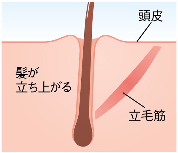 画像に alt 属性が指定されていません。ファイル名: img_0448.jpg