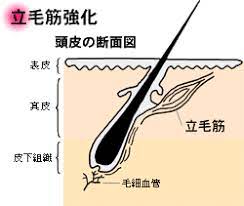 画像に alt 属性が指定されていません。ファイル名: 2fd55edfa16db2200cc9a599e72b73cb.jpg